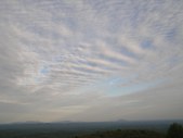 Enlarge photo 93