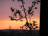 Enlarge photo 88