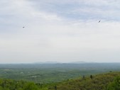 Enlarge photo 89