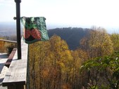 Enlarge photo 61