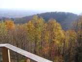 Enlarge photo 59