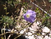 Enlarge photo 58