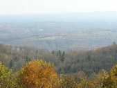 Enlarge photo 57