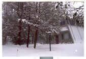 Enlarge photo 78