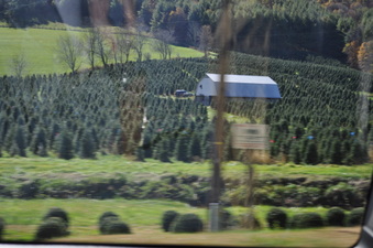 Enlarge photo 45