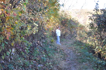 Enlarge photo 42