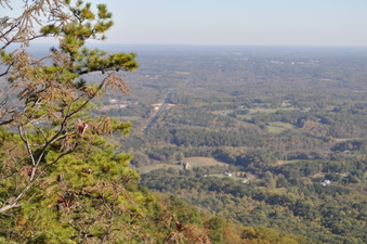 Enlarge photo 30