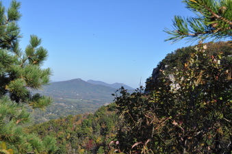 Enlarge photo 20
