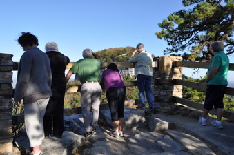 Enlarge photo 15