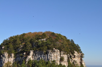 Enlarge photo 39