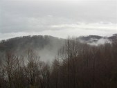 Enlarge photo 63