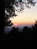Enlarge photo 67