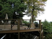Enlarge photo 53