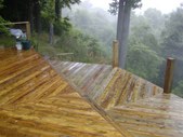 Enlarge photo 30