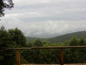 Enlarge photo 37