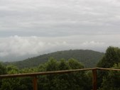 Enlarge photo 40