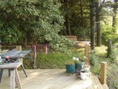 Enlarge photo 41