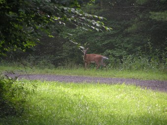 Enlarge photo 7