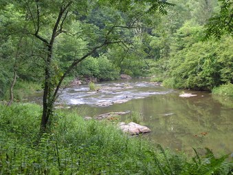 Enlarge photo 18