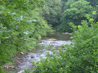 Enlarge photo 23