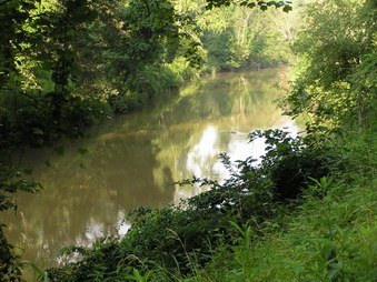 Enlarge photo 25