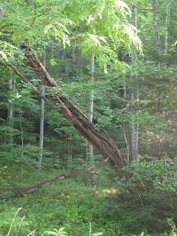 Enlarge photo 27