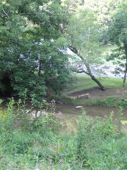 Enlarge photo 17