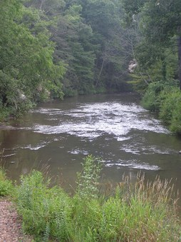 Enlarge photo 32