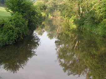Enlarge photo 33