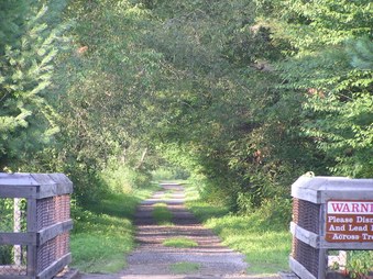 Enlarge photo 31