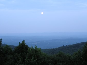 Enlarge photo 35