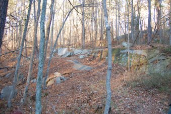 Enlarge photo 32