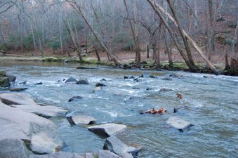 Enlarge photo 39