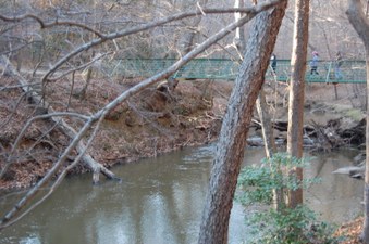 Enlarge photo 46