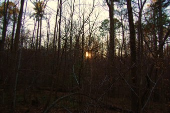 Enlarge photo 48