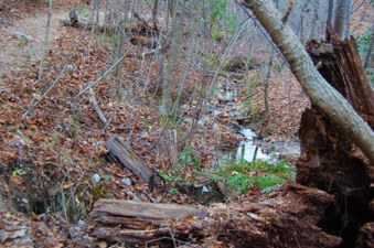 Enlarge photo 51
