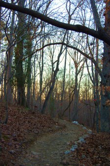 Enlarge photo 56