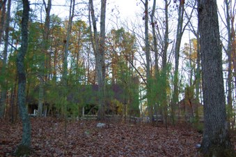 Enlarge photo 57