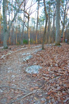 Enlarge photo 3