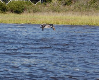 Enlarge photo 19