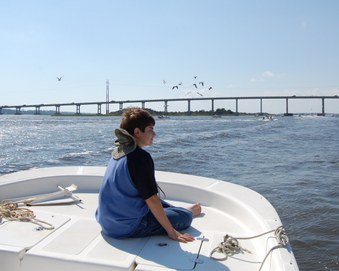 Enlarge photo 24