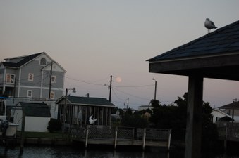 Enlarge photo 42