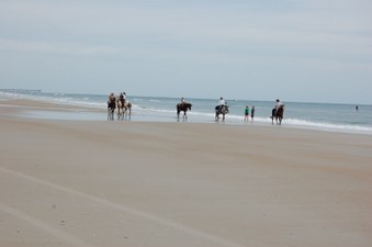 Enlarge photo 61