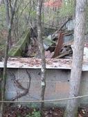 Enlarge photo 26