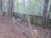 Enlarge photo 24