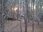 Enlarge photo 30