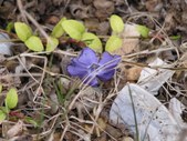 Enlarge photo 35