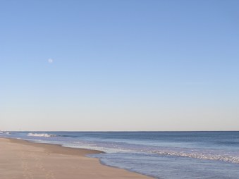 Enlarge photo 48