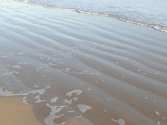 Enlarge photo 36