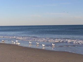 Enlarge photo 38